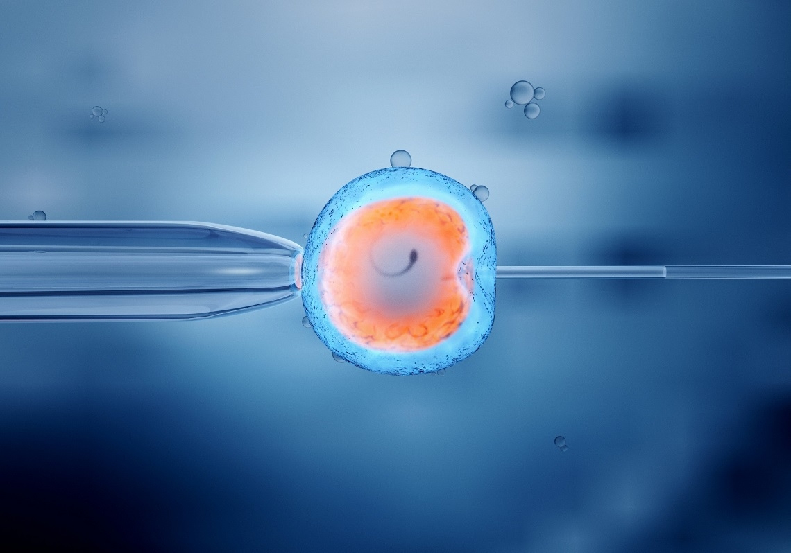 Цикл повышения квалификации "Вспомогательные репродуктивные технологии (специализация для эмбриологов)"